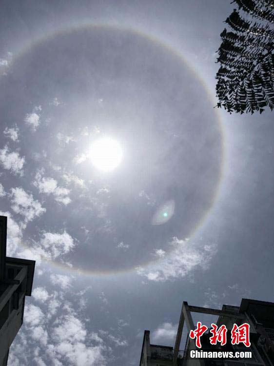四川省の各地で日暈が発生　多くの市民がネットに寫真投稿
