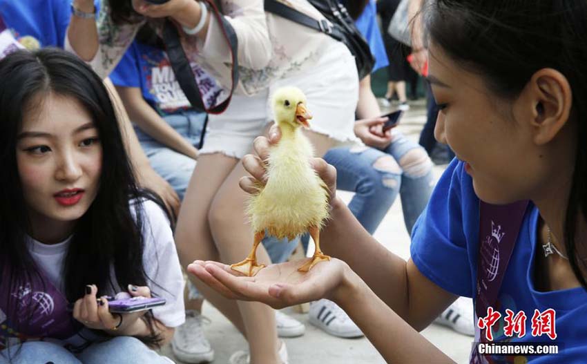 ミス?ツーリズムのファイナリストたち、農(nóng)家體験ツアーに參加