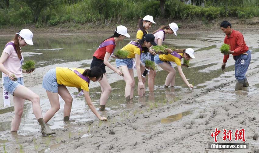 ミス?ツーリズムのファイナリストたち、農(nóng)家體験ツアーに參加