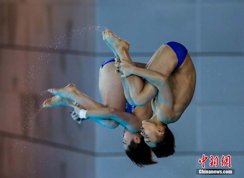 飛込ワールドカップ開(kāi)幕、シンクロダイビング10m高飛込で中國(guó)代表が優(yōu)勝