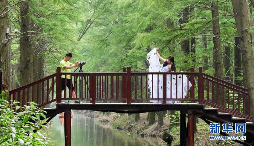 まるで絵巻物の世界、「水上森林公園」を巡る　江蘇省