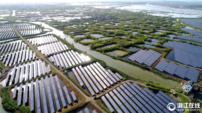 養(yǎng)殖?太陽光相互補完でグリーンな発展を促進