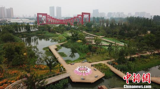 揚州市の景勝地でハスの花に囲まれながらヨガパフォーマンス