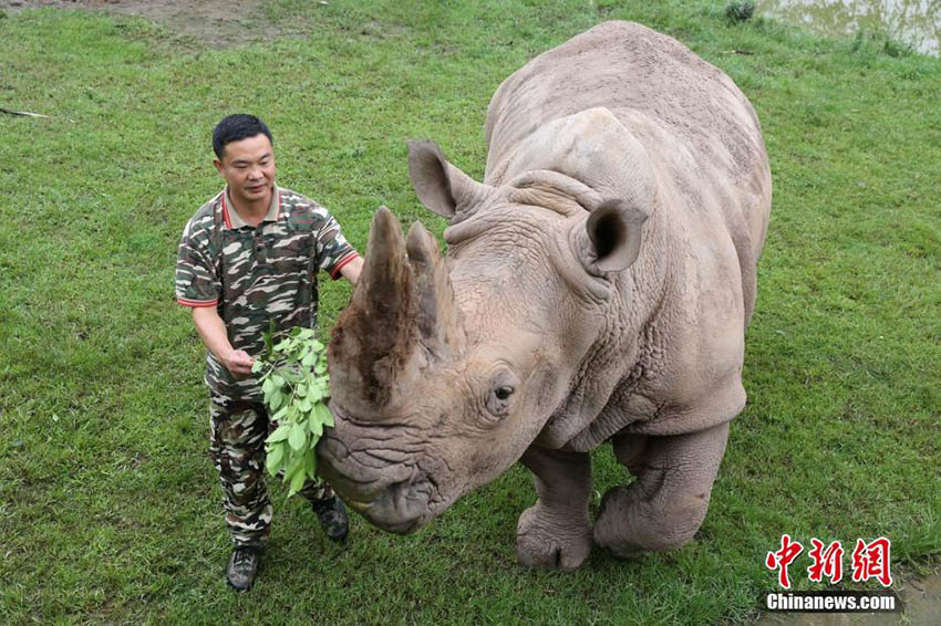 お父さん、いつもありがとう！動物園の「パパ」たち