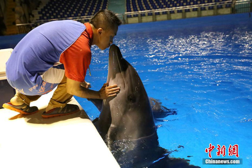 お父さん、いつもありがとう！動物園の「パパ」たち