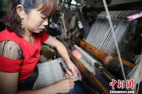 四川省の無形文化遺産「隆昌夏布」、世界の市場へ