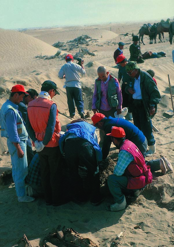 新疆を第二の故郷とし、改革開放以降の発展を見てきた僧侶?小島康譽(yù)氏