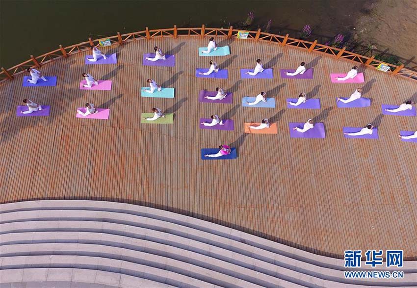 6月21日は國際ヨガデー　ヨガを通じて心身共に健やかに