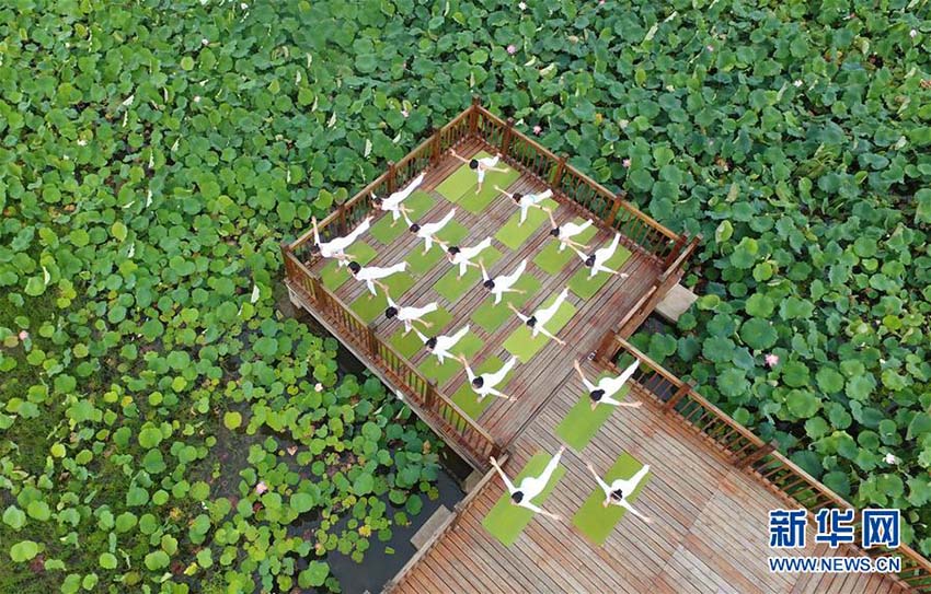 6月21日は國際ヨガデー　ヨガを通じて心身共に健やかに