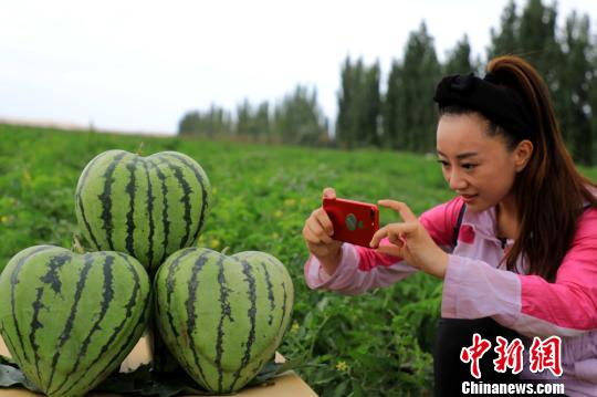 「ハート」に「福」に「元寶」まで、さまざまな形のスイカが人気に