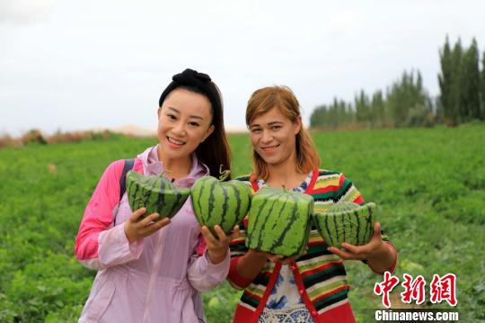 「ハート」に「?！工恕冈獙殹工蓼?、さまざまな形のスイカが人気に