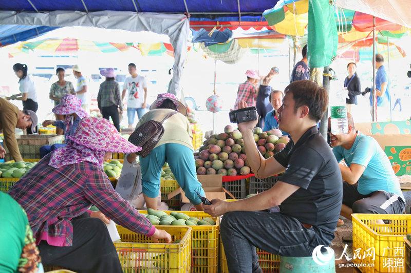 貧困脫卻目指す百色市の「マンゴーの里」　海外メディアが見る広西2018