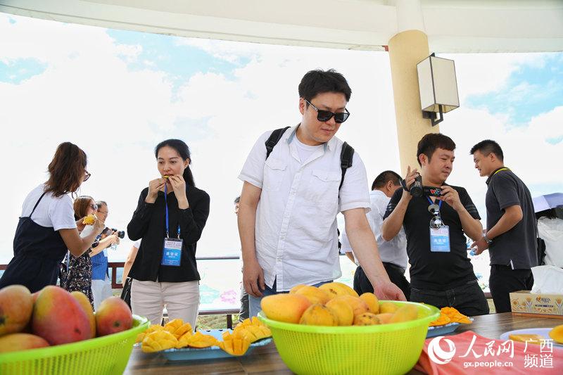 貧困脫卻目指す百色市の「マンゴーの里」　海外メディアが見(jiàn)る広西2018
