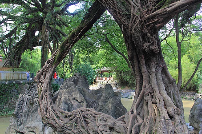 古い街並み広がる賀州黃姚古鎮(zhèn)の魅力　海外メディアが見る広西2018