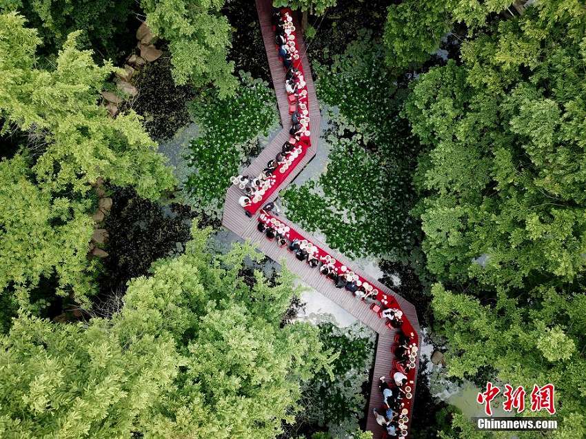 各國の留學(xué)生、緑に囲まれた遊歩道で茶葉入り餃子作りを體験　河南省