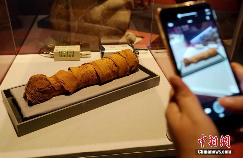 「大英自然史博物館展」が臺(tái)灣地區(qū)に初上陸