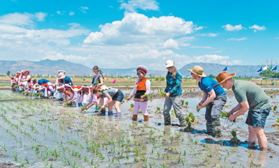 雲(yún)南省、美しい田舎の景色に魅了され民宿を経営する米國人