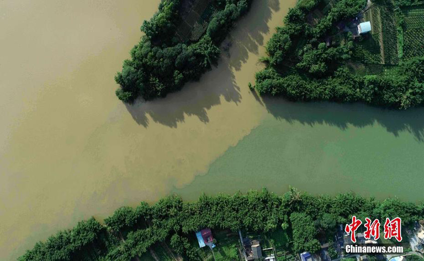 豪雨で濁った川と澄んだ川の境がはっきり！　珠江上流の融江