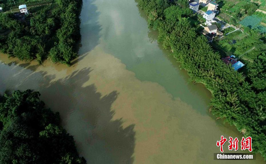 豪雨で濁った川と澄んだ川の境がはっきり！　珠江上流の融江