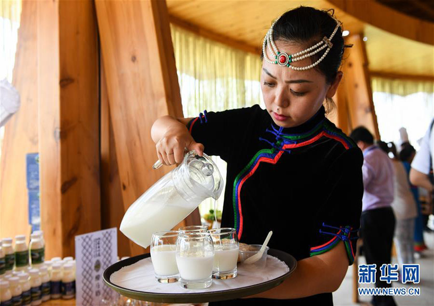 「內(nèi)モンゴル8大料理」発表會(huì)が開(kāi)催　食文化の発揚(yáng)に