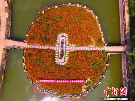 創(chuàng)意あふれる同窓會の集合寫真、協(xié)力して「花びら」を形作る　湖北省