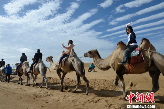 中國で7番目に大きい砂漠が「緑化による砂漠の後退」への転換