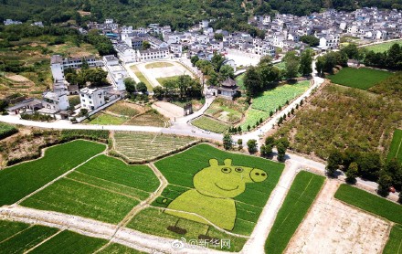 安徽の田んぼに「ペッパピッグ」や「ハローキテ?！工菆?chǎng)