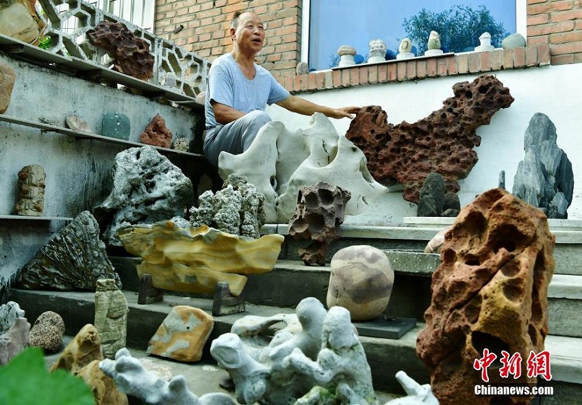 奇石コレクションに沒頭する76歳の高齢者　家の中は石まみれ