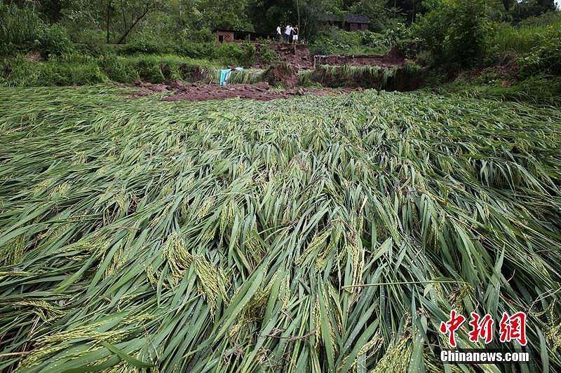 四川省內(nèi)江市で暴風(fēng)雨被害　被災(zāi)地は無殘な姿に