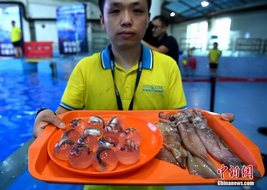 合肥市で継続的猛暑、海洋動(dòng)物たちの避暑対策措置とは？