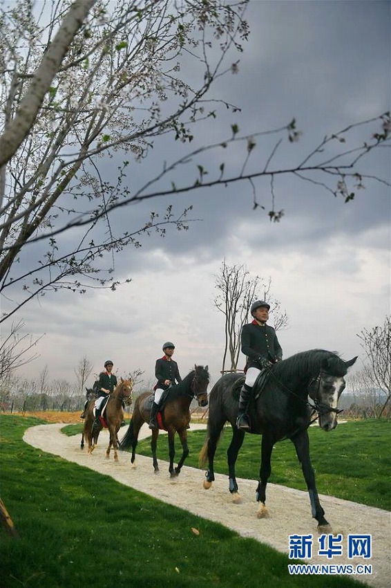 夢は競馬の騎手！ 陽光馬術(shù)學(xué)校の生徒たち