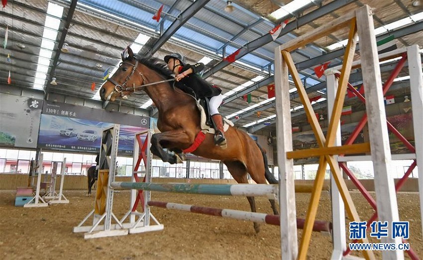 夢(mèng)は競馬の騎手！ 陽光馬術(shù)學(xué)校の生徒たち