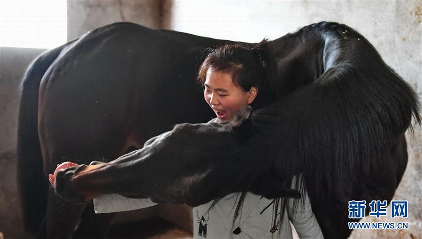 夢は競馬の騎手！ 陽光馬術(shù)學校の生徒たち