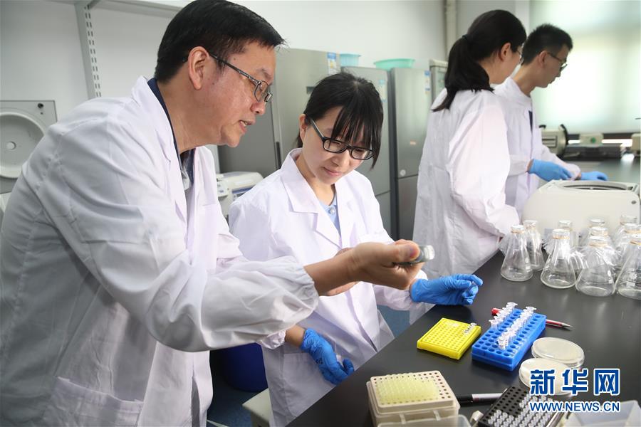 世界初の人工単一染色體真核細(xì)胞、中國(guó)人科學(xué)者が生成に成功