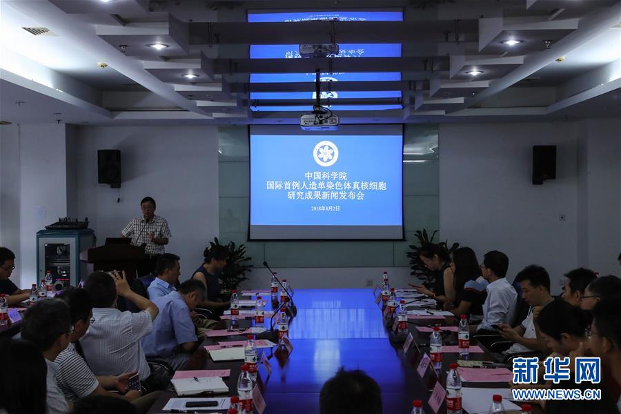 世界初の人工単一染色體真核細(xì)胞、中國(guó)人科學(xué)者が生成に成功