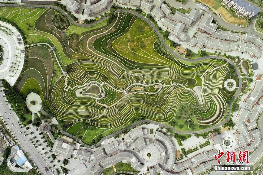 まるで大地の指紋のような貴州省大方県の「都市棚田」