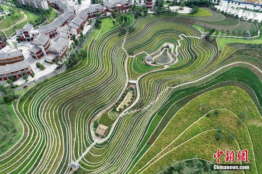 まるで大地の指紋のような貴州省大方県の「都市棚田」