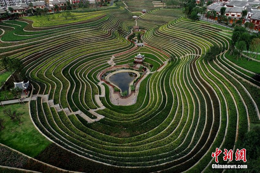 まるで大地の指紋のような貴州省大方県の「都市棚田」