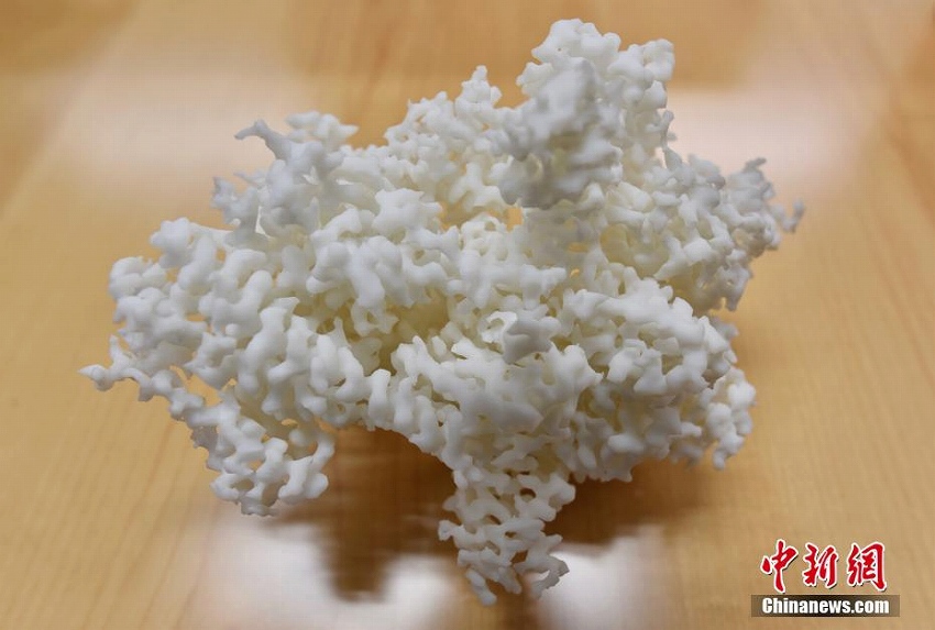 香港科技大學と北京大學がDNA複製の新メカニズム解明