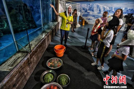 南京の水族館「海底世界」、ホッキョクグマの暑さ対策に冷えたスイカなど