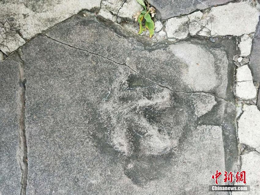 承徳避暑山荘とその周辺寺院から恐竜の足跡250個以上を発見