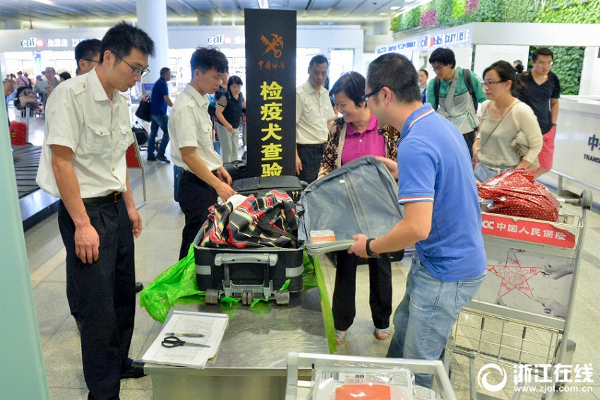 愛くるしい「特殊部隊」、検疫探知犬が匂いでチェック