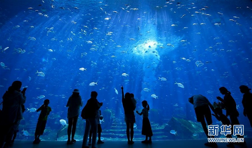 家族旅行ピークを迎えた海南省三亜市