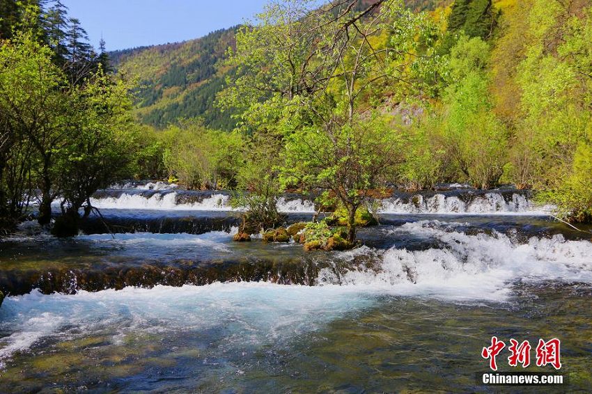 震災(zāi)から1年、美しさ取り戻した九寨溝