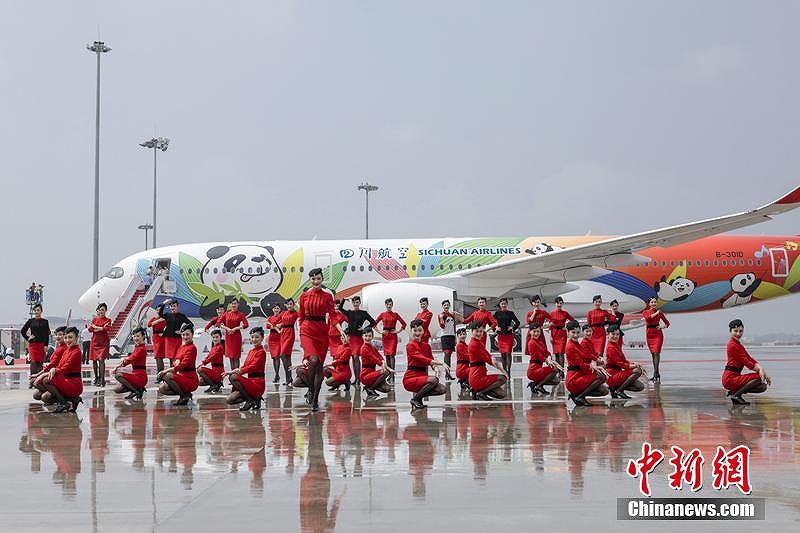 パンダ好きにはたまらない？四川航空にパンダ描いたエアバスA350初登場(chǎng)