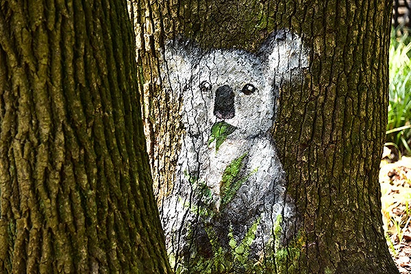 パンダ出沒！上海共青森林公園の自然を活かした試みとは？