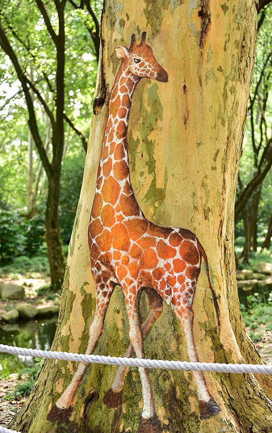 パンダ出沒！上海共青森林公園の自然を活かした試みとは？