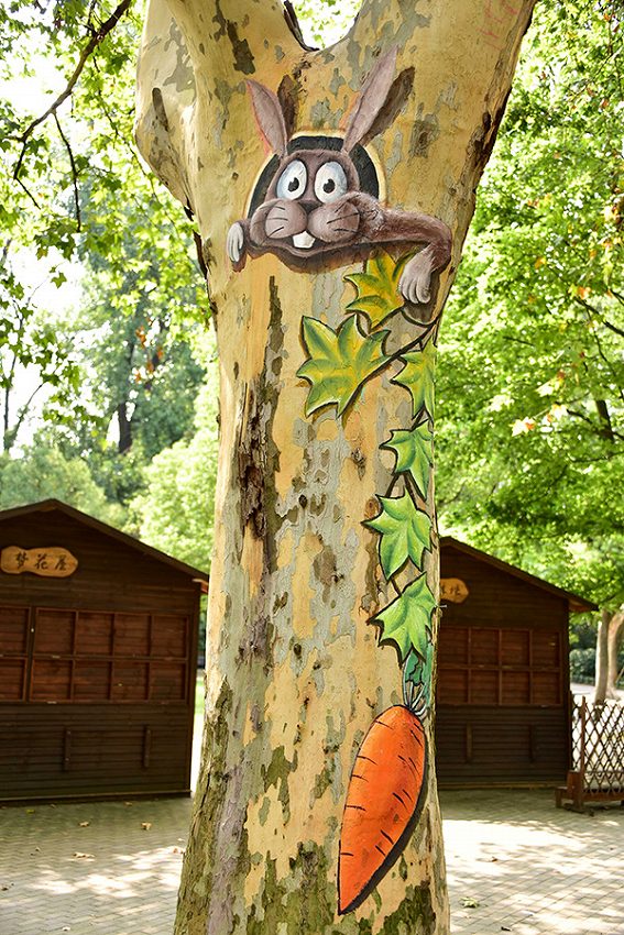 パンダ出沒！上海共青森林公園の自然を活かした試みとは？