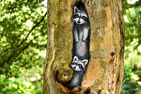 パンダ出沒！上海共青森林公園の自然を活かした試みとは？