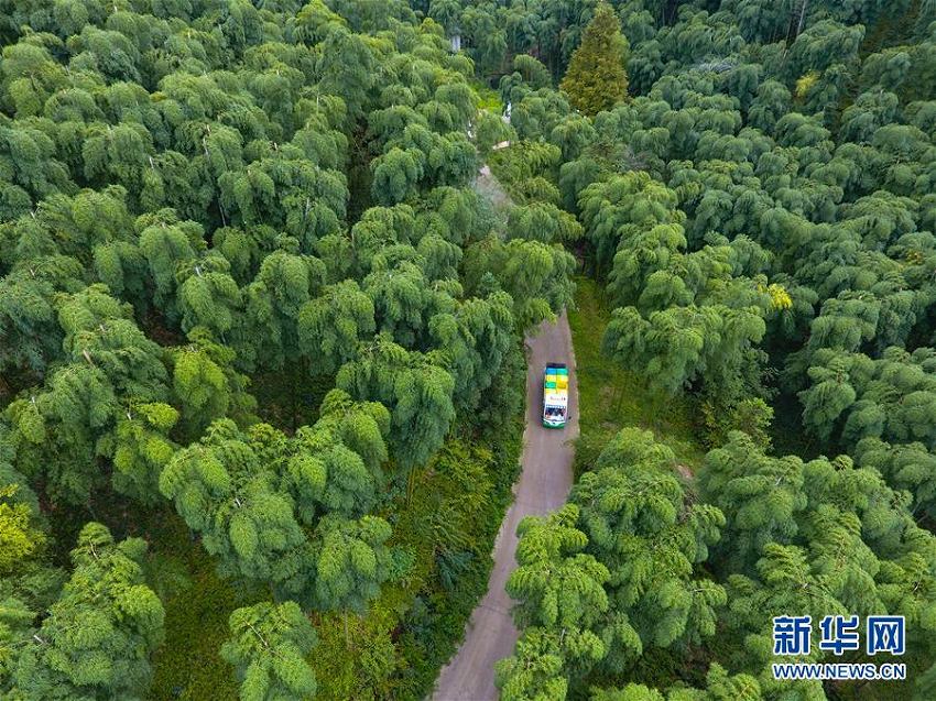 ゴミの分別回収進(jìn)む浙江省の農(nóng)村